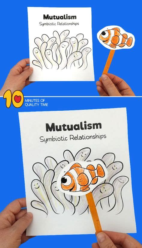 Click the clownfish coloring pages to view printable version or color it online (compatible with ipad and android tablets). Clownfish and anemone | Clown fish, Owl coloring pages ...