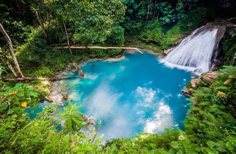 10 Top Things to See and Do in Portland, Jamaica