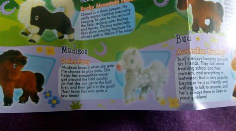 Pony In My Pocket Series 2 Personality Profiles Madison The Dales