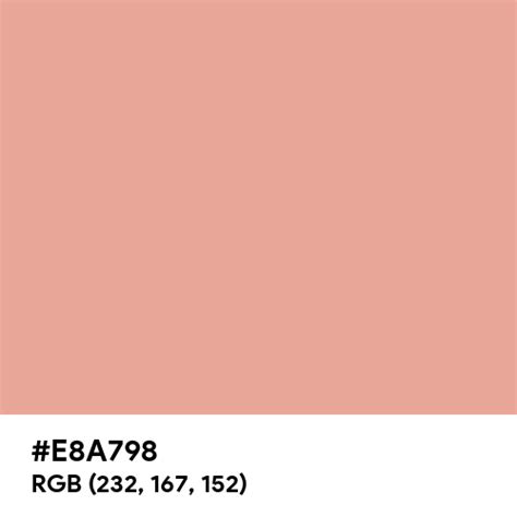 Coral Pink Pantone Color Hex Code Is E8a798