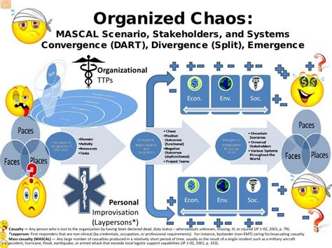 Organized Chaos Draft 10 Feb2010