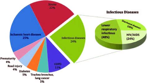An Overview Of The Various Infectious Diseases As A Leading Cause Of
