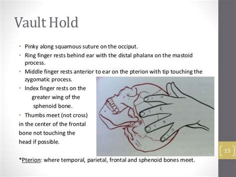 Vault Hold • Pinky Along Squamous Suture On The Occiput • Ring Finger Rests Behind Ear With The