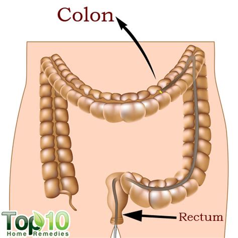 Check spelling or type a new query. Home Remedies for Colon Cleansing | Top 10 Home Remedies