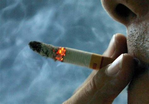 Fumo E Alcol Sono Droghe Che Fanno Più Danni Alla Salute