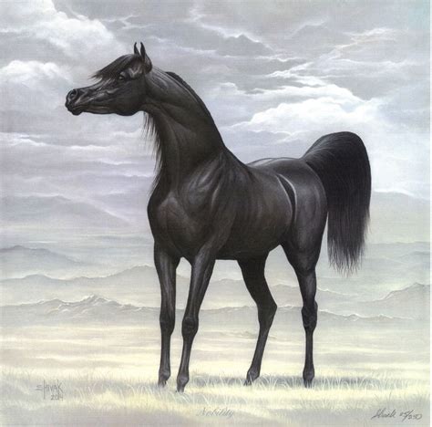 Black Stallion Desert Scene Egyptian Arabian Horse Art Print Shivak