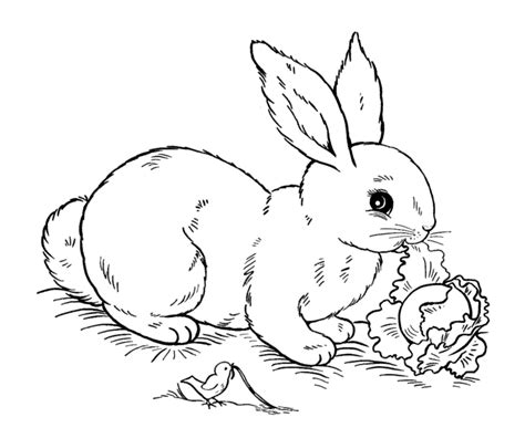 Free Printable Easter Bunny Coloring Pages For Kids