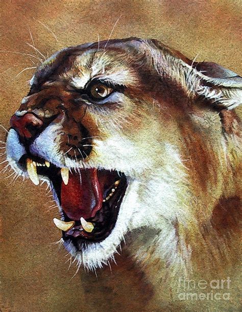 Cougar By J W Baker