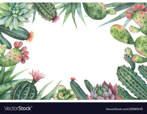 Watercolor Cactus And Succulents On White Background With Space For
