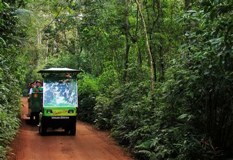 iguazu falls brazilian side with macuco safari boat ⭐ tour reviews prices 2023 2024