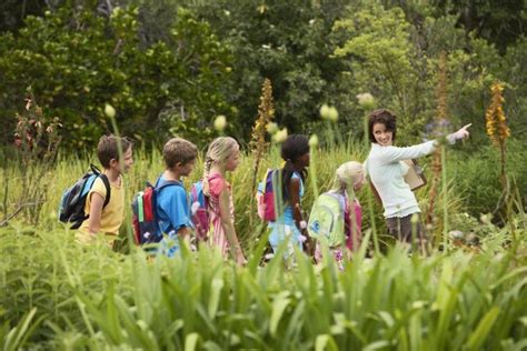 How Do School Trips Benefit Your Primary Pupils