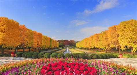 The 12 Top Spots For Autumn Colors In Japan All About Japan