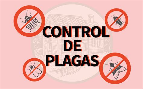 Importancia Del Control De Plagas Ifcen