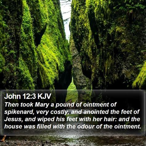 John 123 Kjv Then Took Mary A Pound Of Ointment Of Spikenard