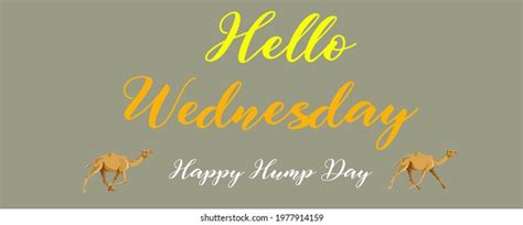 Hump Day Photos And Images Shutterstock