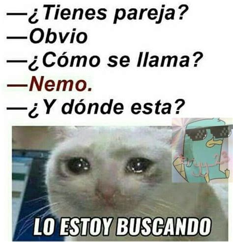 ¿ya Te Has Reído Hoy Memes Divertidos Memes Graciosos Meme Chistosos