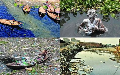 effects of water pollution