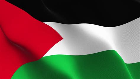 Here you can download jpg and png files of the palestinian flag. Palestine Flag Waving Seamless Loop Stock Footage Video ...
