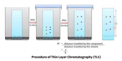 Thin Layer Chromatography Principle Components Procedure Application