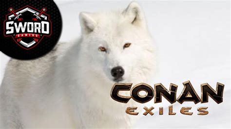Atıl Kurt I Conan Exiles Pets #10 - YouTube