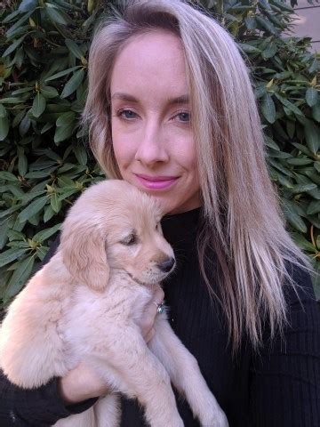 Raised in a family environment, health tested, spoiled, and ready to join your home! Golden Retriever puppy dog for sale in Sandpoint, Idaho