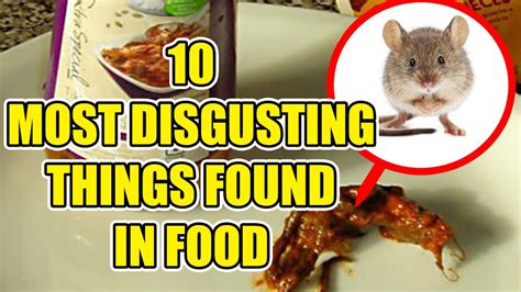10 Most Disgusting Things Found In Food Youtube