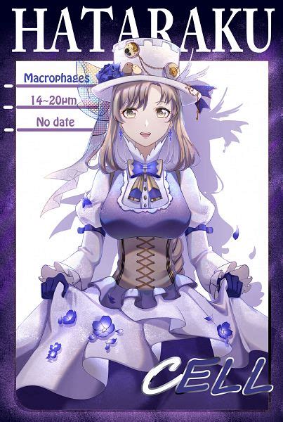 Macrophage Hataraku Saibou Image By Byuey 2365190 Zerochan Anime