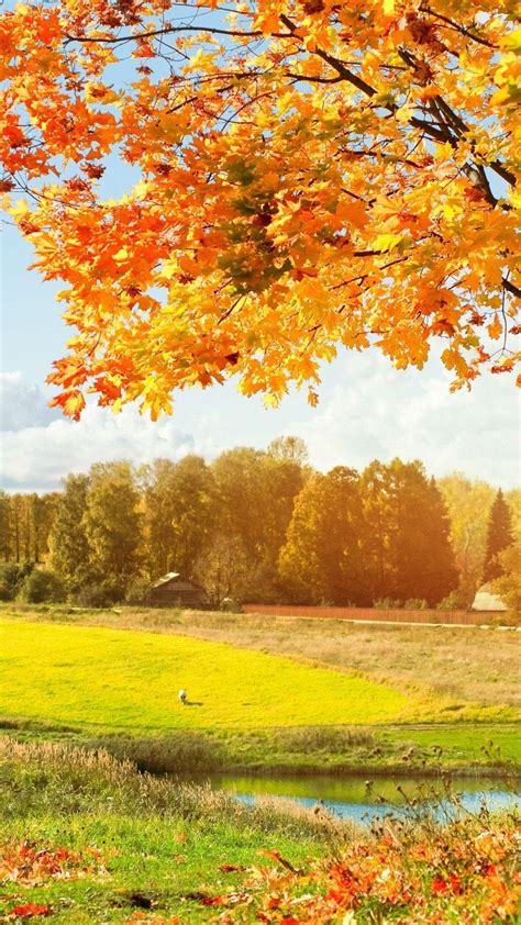 Plain Autumn Wallpapers Top Free Plain Autumn Backgrounds