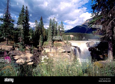 Athabasca Falls And River Along Icefields Parkway Jasper National Park