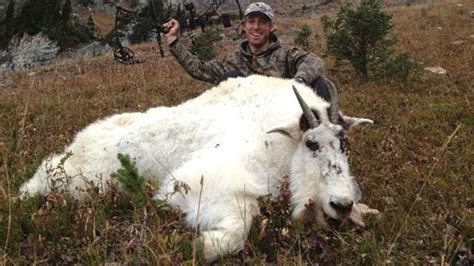 Trending Canucks Booth Hunts Giant Goat Sportsnetca