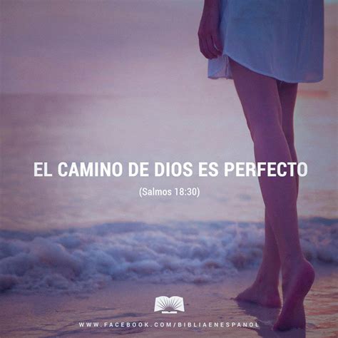El Camino De Dios Es Perfecto La Promesa Del Señor Es Digna De Confianza ¡dios Protege A