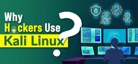 ¿por Qué Los Piratas Informáticos Usan Kali Linux Barcelona Geeks