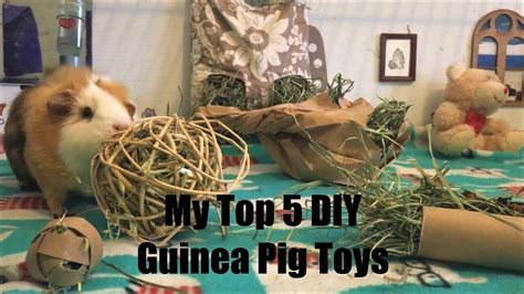 How To Make Your Own Toys For Your Guinea Pigs Youtube