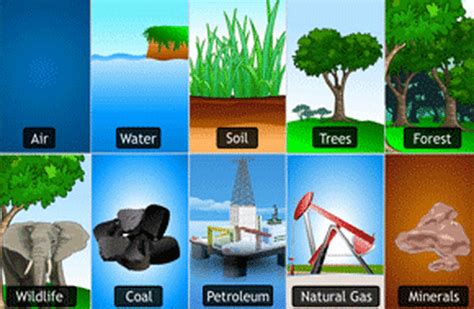 652 What Are Natural Resources And How Do People Use Them Mr