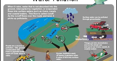 Sources Of Surface Water Pollution Pinterest Water Pollution And