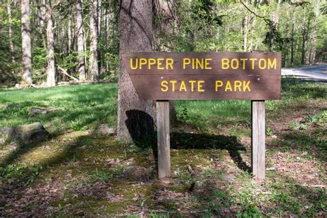 The Best Things To Do In Upper Pine Bottom State Park Uncovering Pa