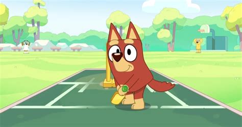 What Kind Of Dog Is Rusty From Bluey Answered The Mary Sue