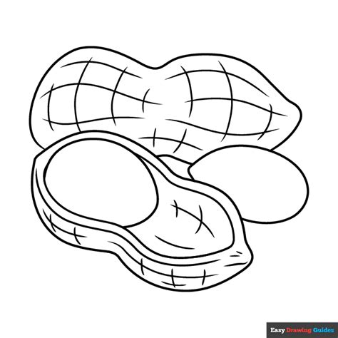 Peanut Coloring Page Easy Drawing Guides