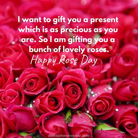 Top Happy Rose Day Wishes Messages And Sms