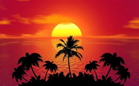Pulau Tropis Musim Panas Red Sunset Beach Ocean Palm Red Ocean