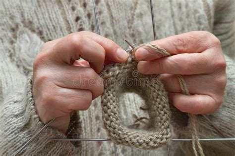 Grandma Knitting Stock Photo Image Of Life Female Grandparent 12929178