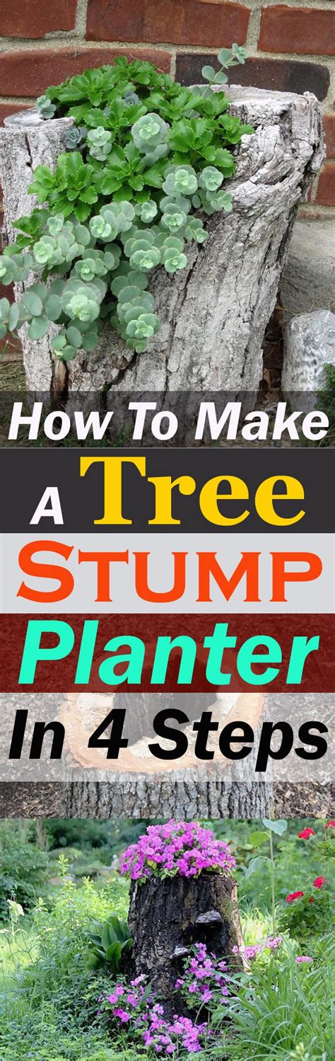 How To Make A Tree Stump Planter In 4 Steps Balcony Garden Web