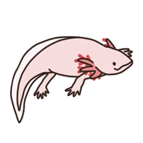 Maybe you would like to learn more about one of these? ウーパールーパーの日常2 - クリエイターズスタンプ