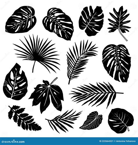 Conjunto De Siluetas De Hojas Tropicales Ilustraci N Del Vector