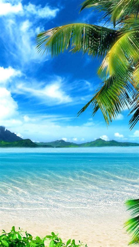 Download Tropical Coast Beach Iphone Wallpaper