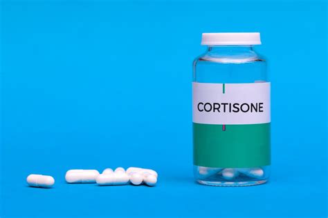 The 7 Side Effects Of Cortisone In Dogs