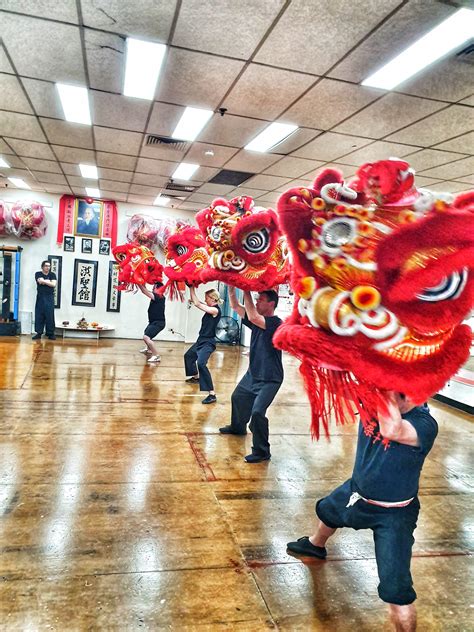 Beginner Kung Fu Classes Sydney Choy Lee Fut