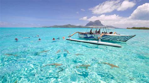 The Best Bora Bora Tours And Things To Do In 2023 Free Cancellation