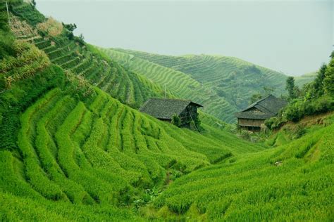 Long Ji Rice Terraces Guilin China Russell Mcmahon Galleries