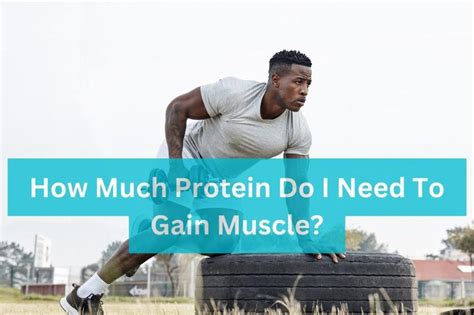 How Much Protein Do I Need To Gain Muscle Oldfitness
